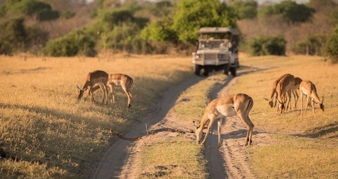 7 Days Chobe Flexible Camping Safari