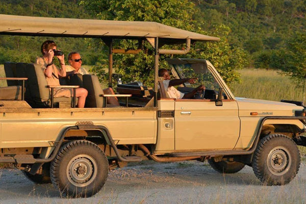 Our Safari Fleet