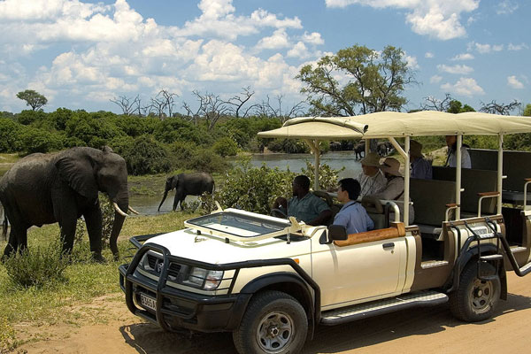 Our Safari Fleet