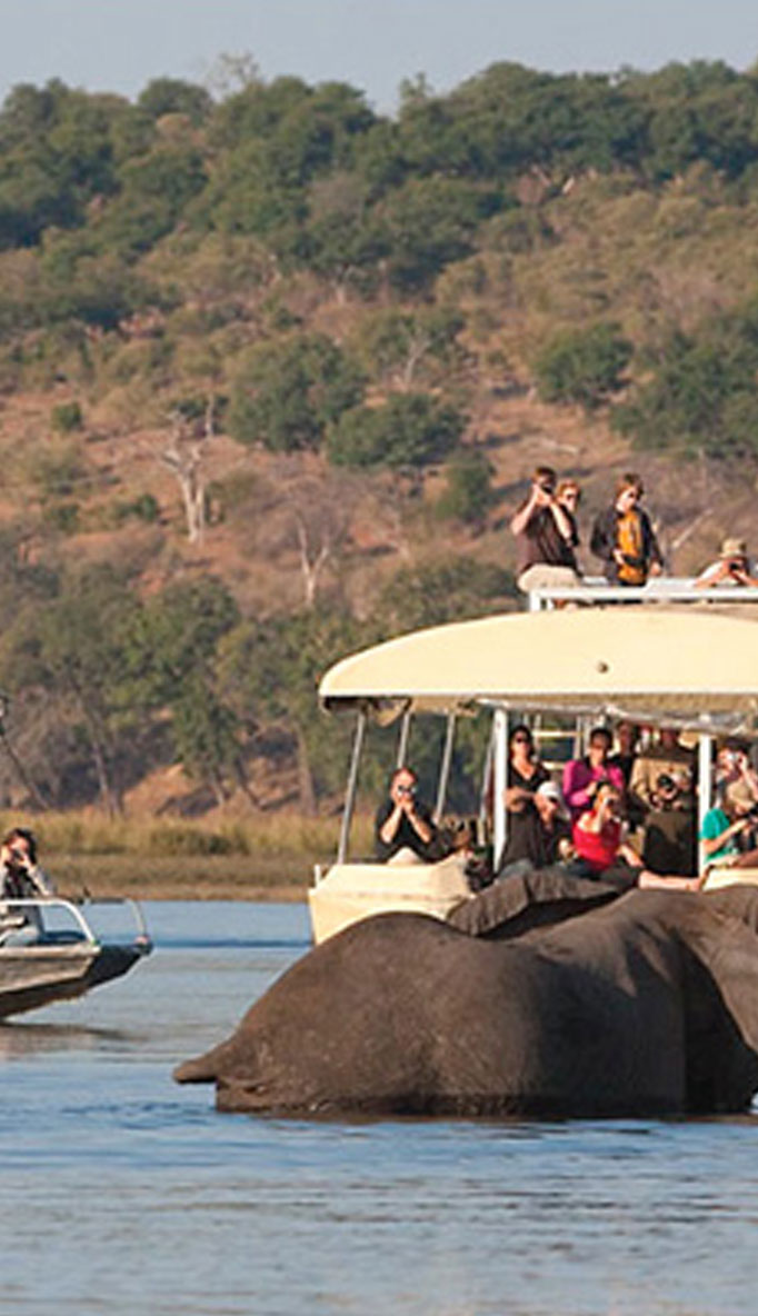 Chobe Boat Cruises