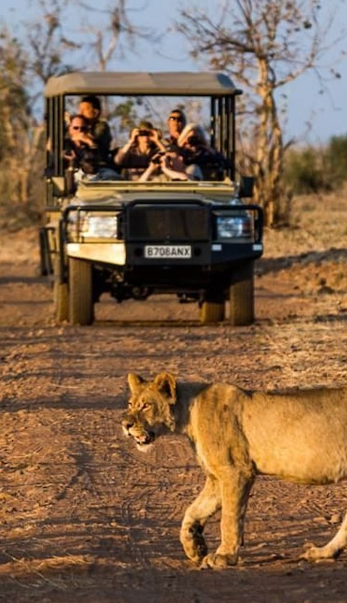  Ngoma Tour 