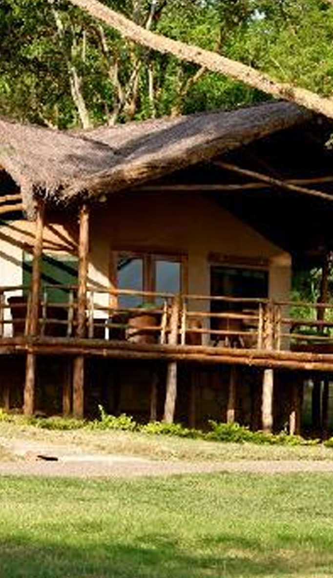 Chobe Full Day Safari
