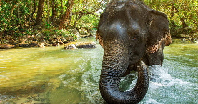  13 Days Sensible Botswana Safari