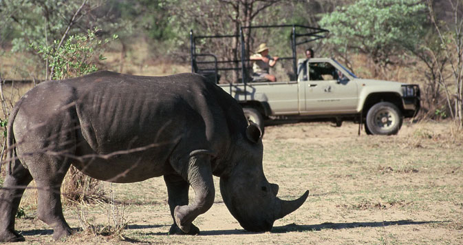  13 Days Sensible Botswana Safari