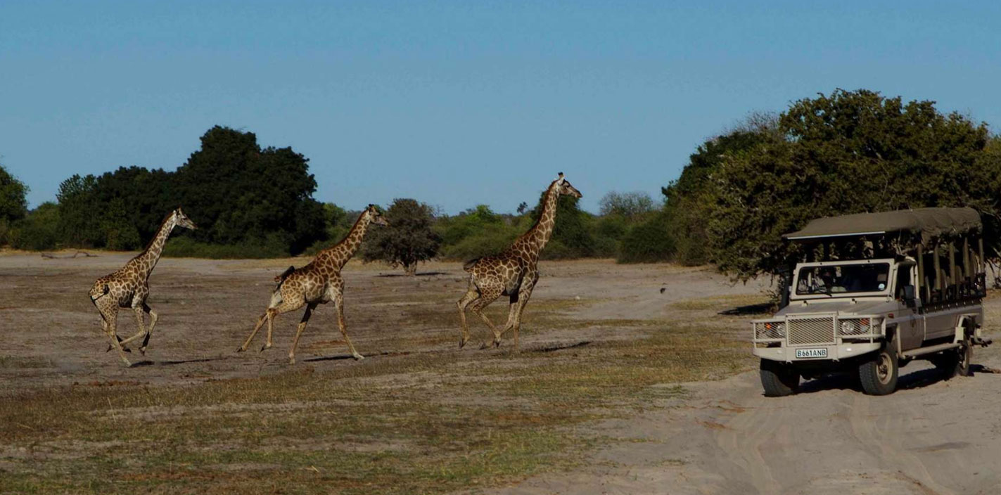 9 Days Taste of Africa