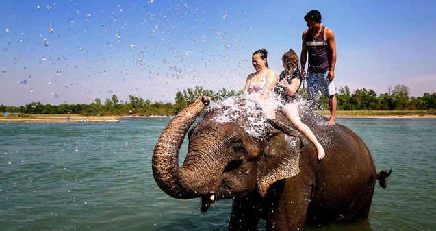  4 Days Elephant Back Safaris