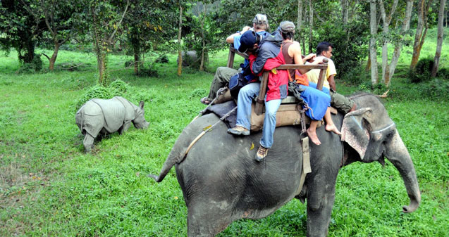  4 Days Elephant Back Safaris