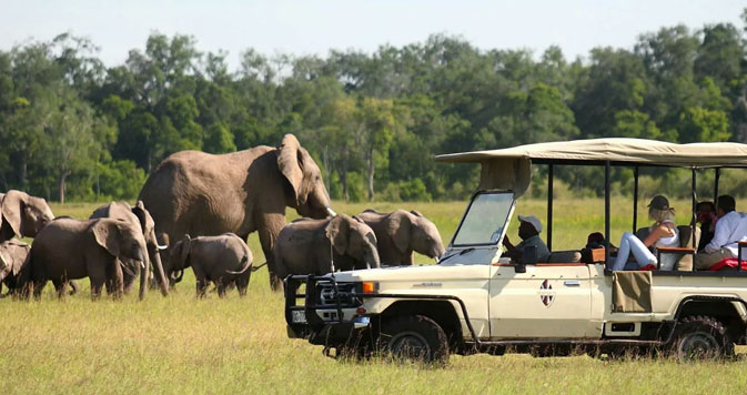 Chobe Game Drives