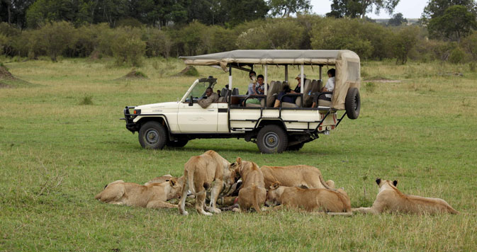  Chobe Game Drives