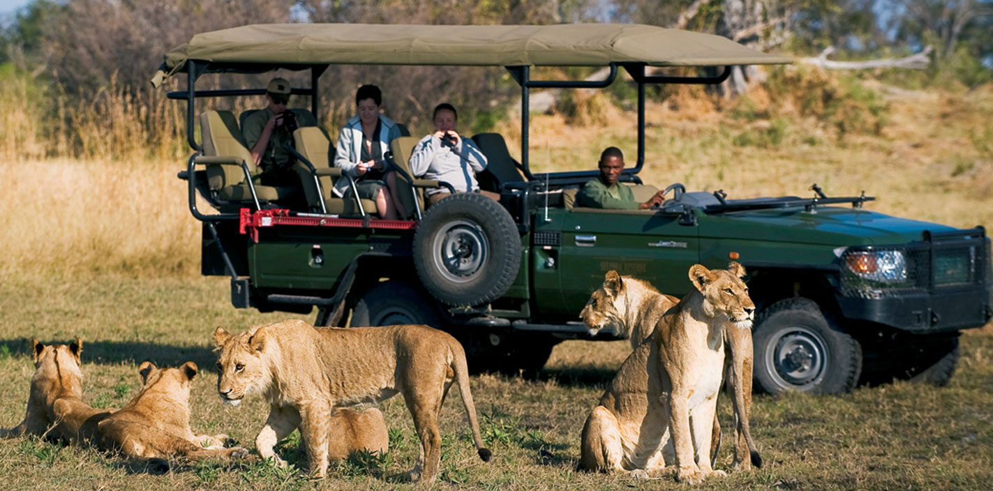 9 Days Chobe less Safari