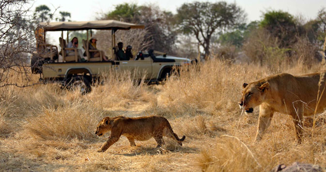9 Days Chobe less Safari