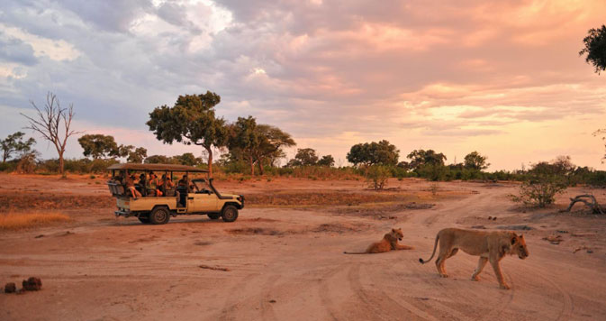  9 Days Chobe less Safari