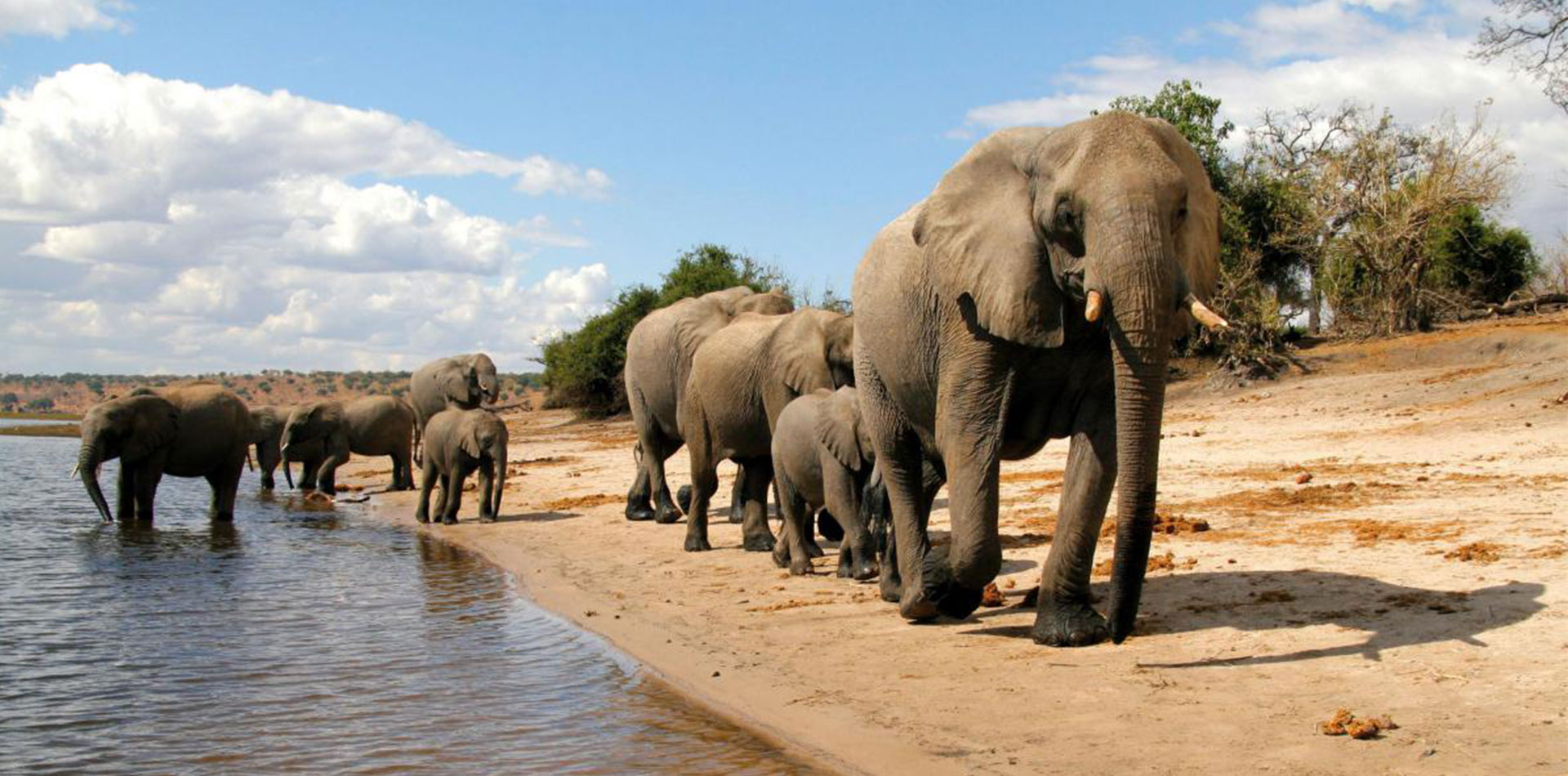 Chobe National Park