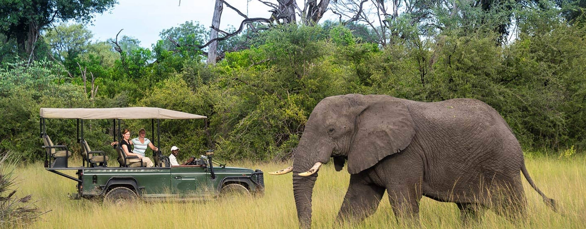 Chobe National Park in pictures