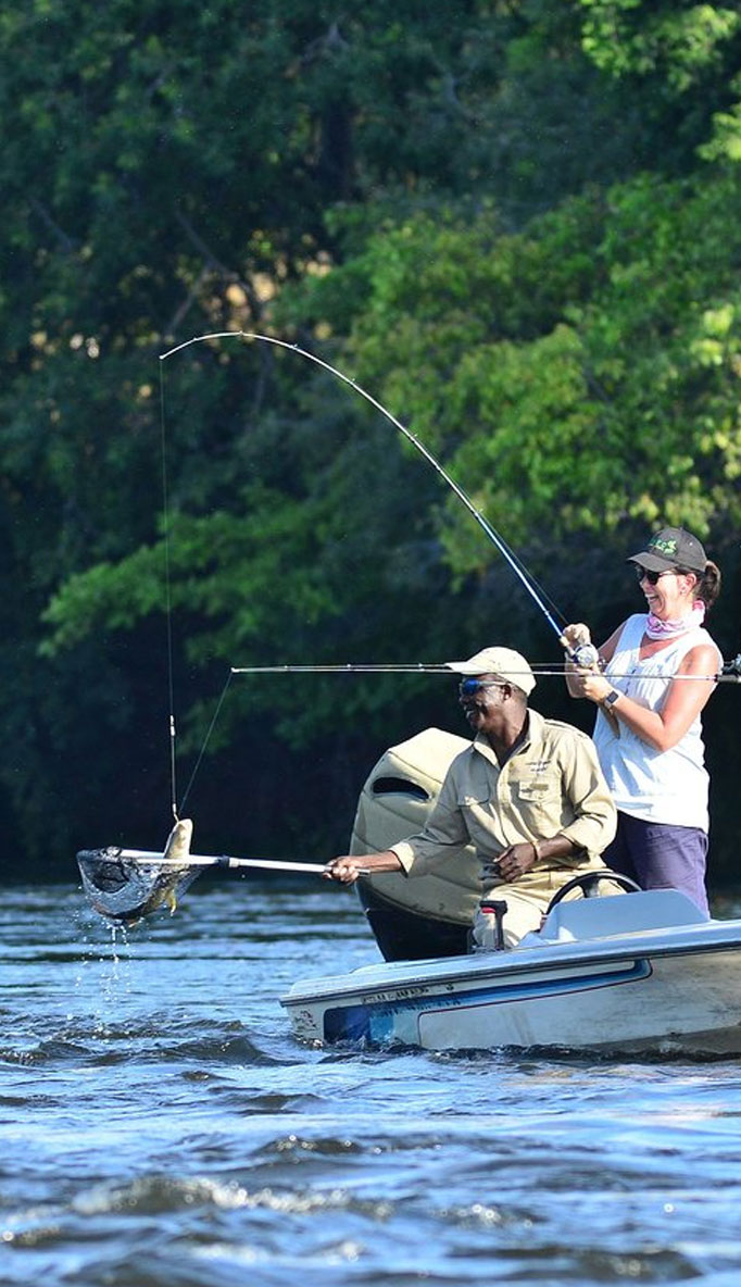 Chobe Activities