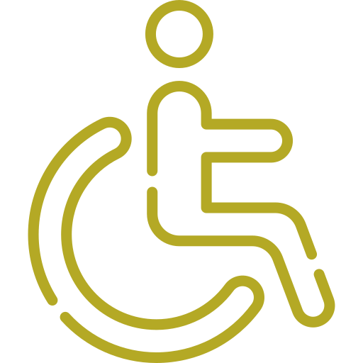 Disabled Access