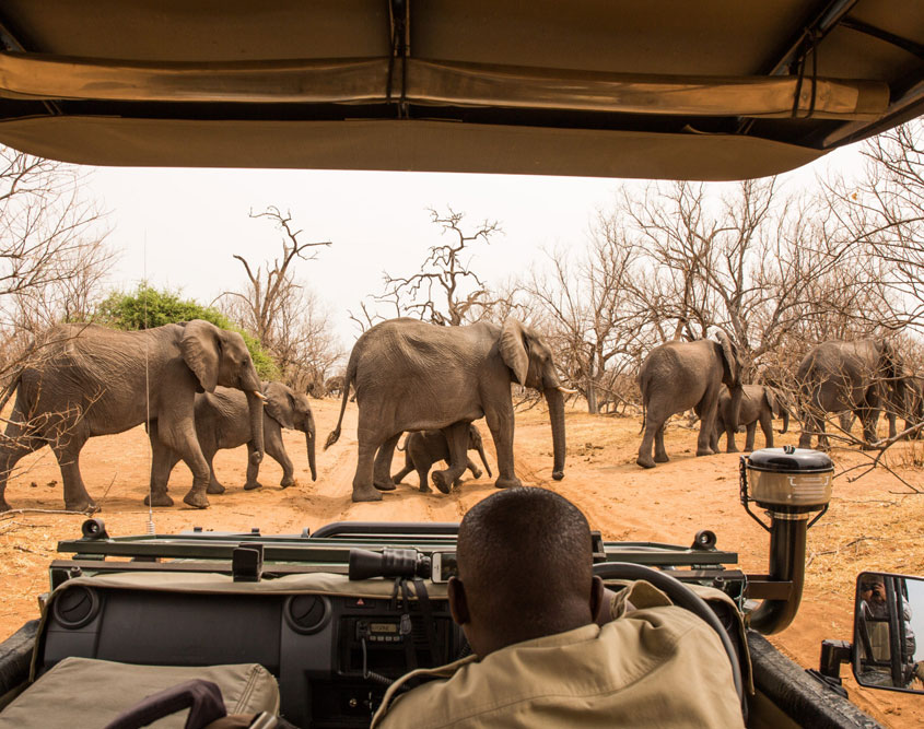 12 Days Africa Sea Safari