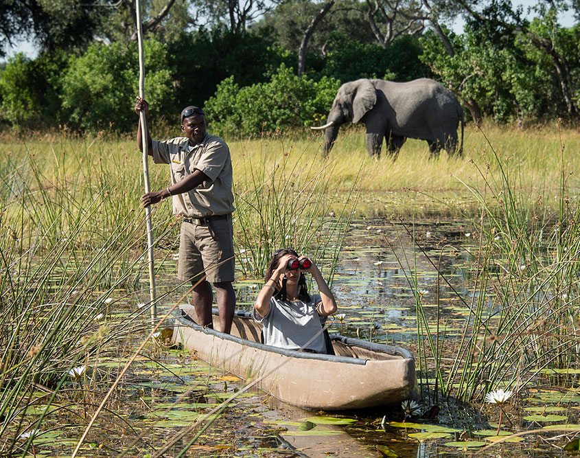 10 Days Chobe To Okavango Delta Self Drive