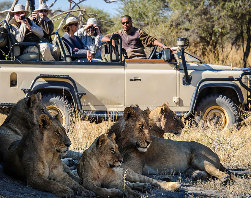 13 Days Sensible Botswana Safari