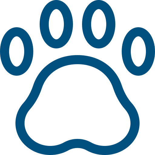 Big 5