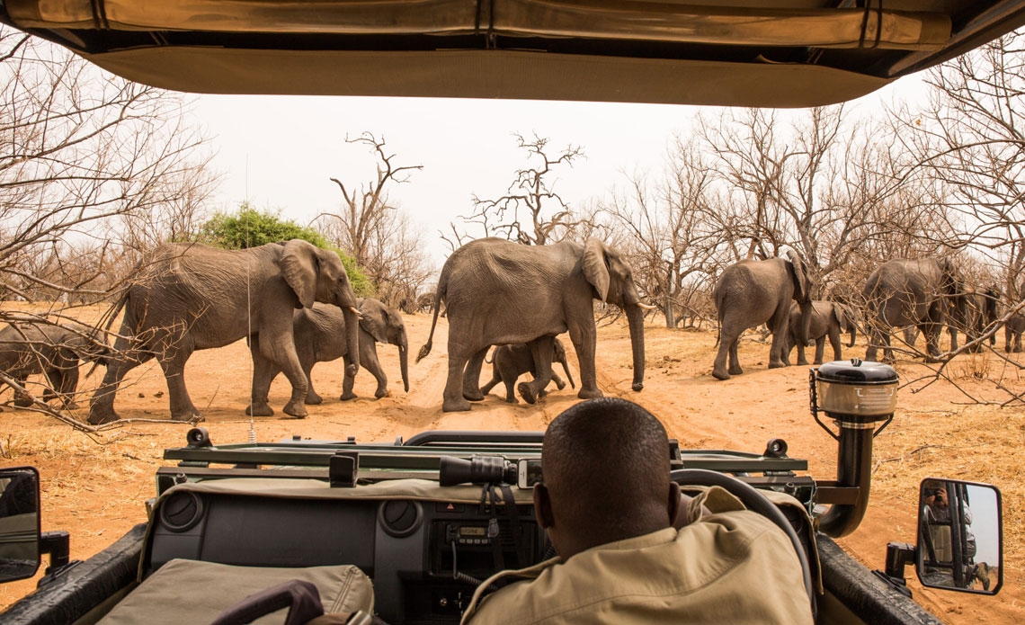Senyati Safari Camp