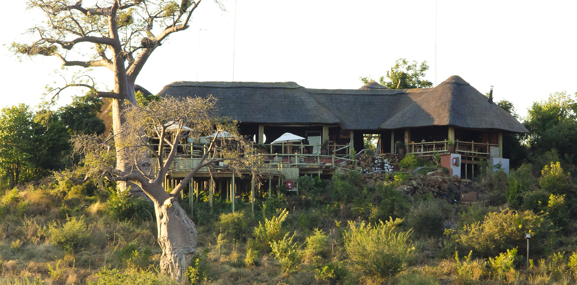 The Old House